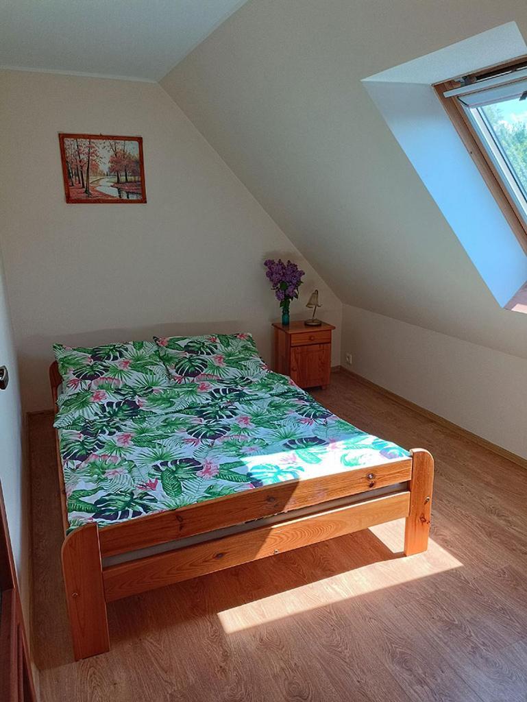 Apartamenty "Anusia" Ledzin Extérieur photo
