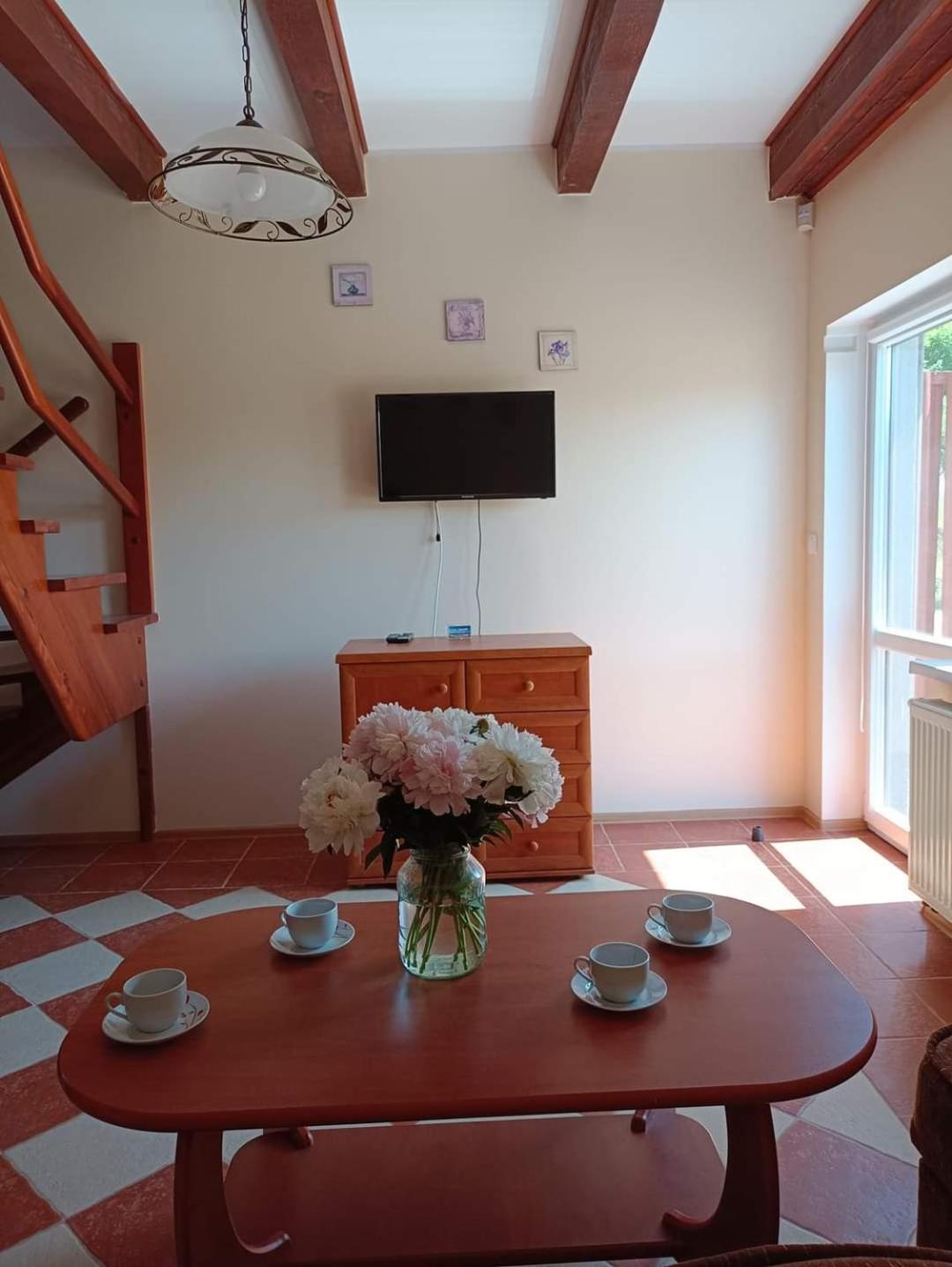 Apartamenty "Anusia" Ledzin Extérieur photo