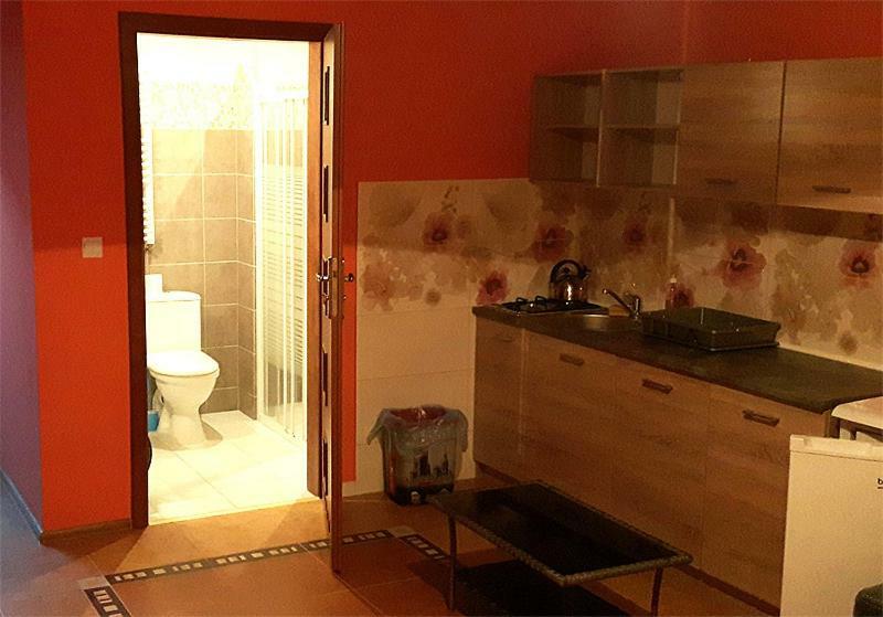 Apartamenty "Anusia" Ledzin Extérieur photo