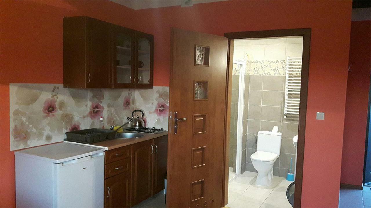 Apartamenty "Anusia" Ledzin Extérieur photo