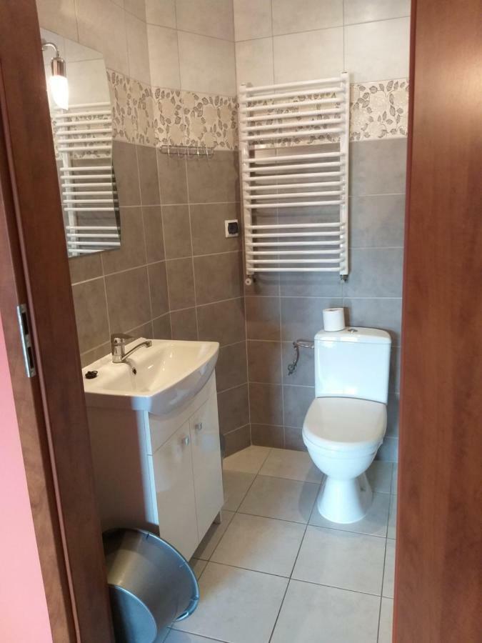 Apartamenty "Anusia" Ledzin Extérieur photo