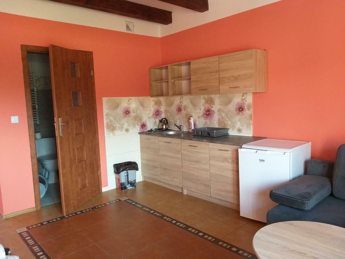 Apartamenty "Anusia" Ledzin Extérieur photo