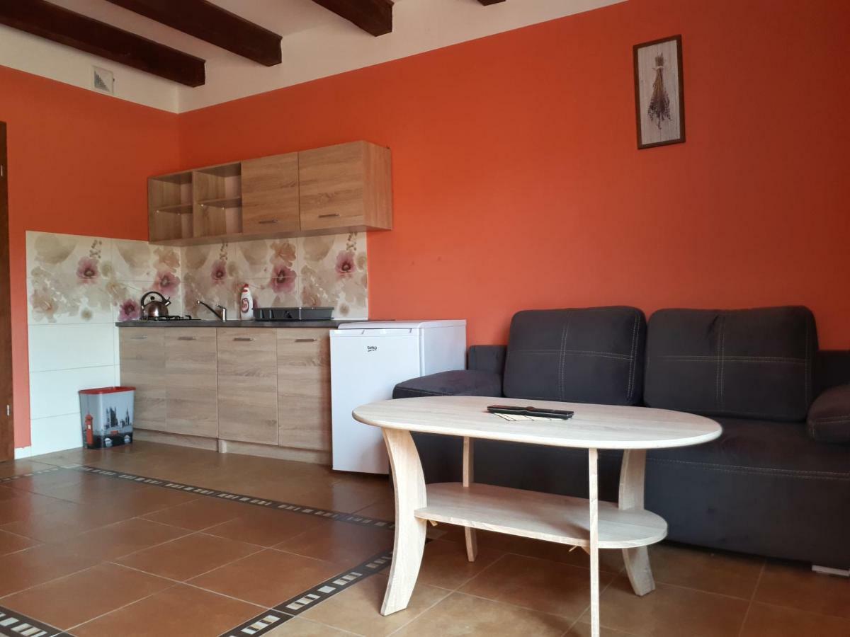 Apartamenty "Anusia" Ledzin Extérieur photo